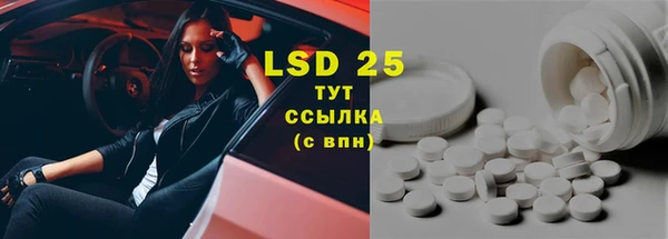 ПСИЛОЦИБИНОВЫЕ ГРИБЫ Алексеевка