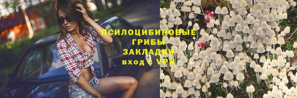 ПСИЛОЦИБИНОВЫЕ ГРИБЫ Алексеевка