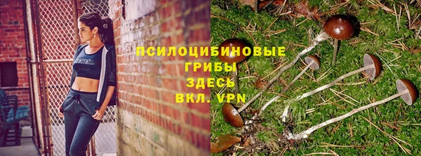 ПСИЛОЦИБИНОВЫЕ ГРИБЫ Алексеевка